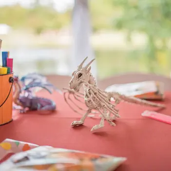 corporate events at the oaks at salem