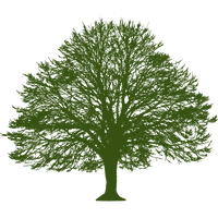 the oaks at salem favicon
